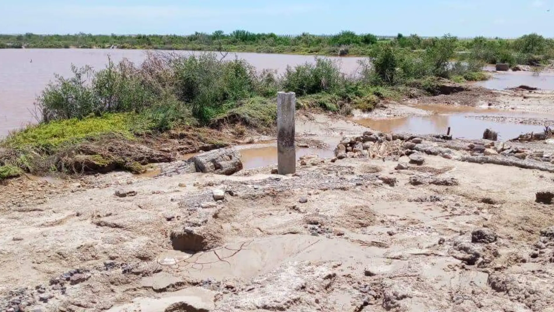 hectáreas de camarón